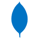/assets/imgs/icon/mongodb.png icon