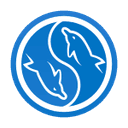 /assets/imgs/icon/my-sql.png icon